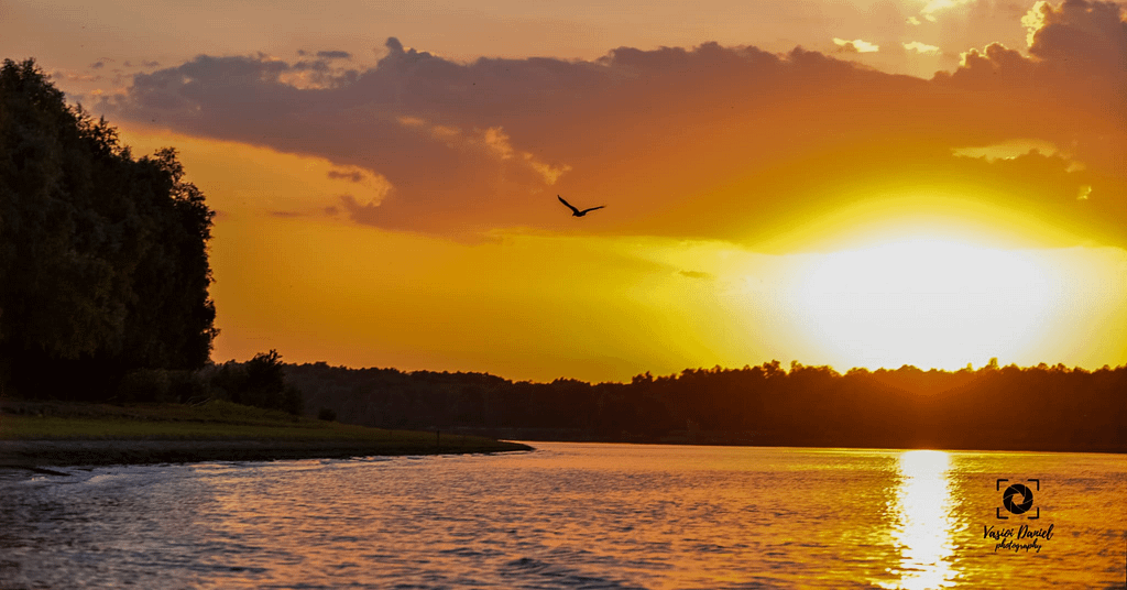 Plimbari Dunare Galati Plimbari Dunare Galati