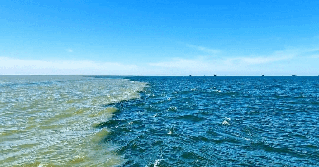 Excursie cu barca în Delta Dunării varsare in Marea Neagra